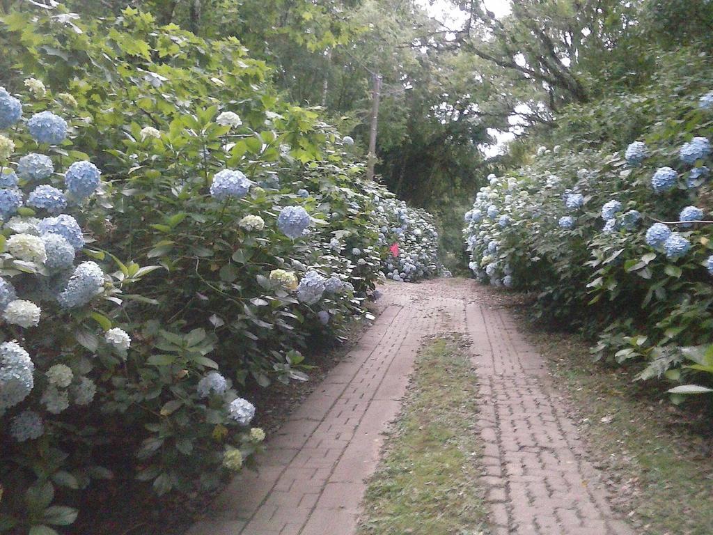 ホテル Nanda'S House Pousada São Francisco de Paula エクステリア 写真