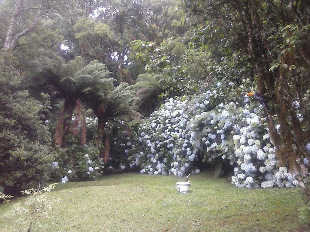 ホテル Nanda'S House Pousada São Francisco de Paula エクステリア 写真